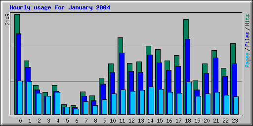 Hourly usage for January 2004